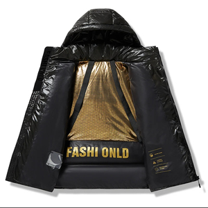 2025 mode hommes doudoune OEM personnalisé chaud hiver manteau fermeture éclair à capuche bulle veste extérieure vers le bas Style - Product Image 2