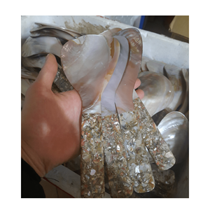 Stock envío rápido pescado/Concha forma regalo cocina herramienta caviar cuchara madre de perla caviar cuchara de concha - Product Image 4