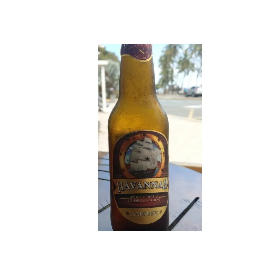 Havannah-Bier - Flaschen und Dosen/Dosen Bier/Bier