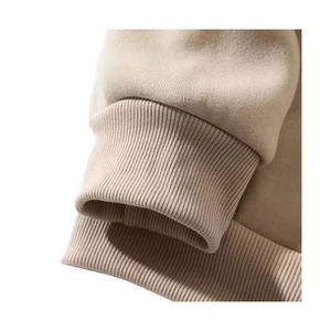 Sweats à capuche pour hommes d'hiver 100% coton épais Fabricant OEM Streetwear direct à coupe régulière Pull à capuche avec logo personnalisé - Product Image 5