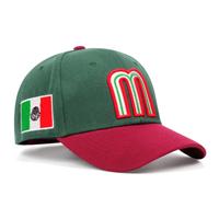 Topi Baseball Custom Logo Puff Printing, Dapat Disesuaikan, Untuk Olahraga Luar Ruangan, Unisex, Atletik, OEM ODM Umum