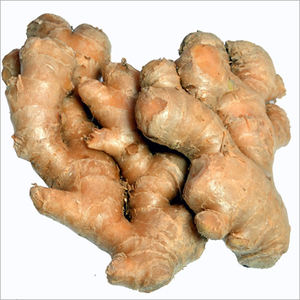 Jengibre fresco orgánico de calidad Nueva cosecha Listo para exportar Color del Reino Unido Amarillo dorado al por mayor - Product Image 6