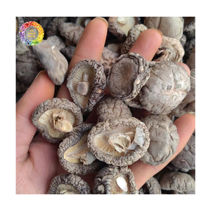 Champignons Shiitake Séchés Premium, Champignons Séchés Naturels Chinois pour la Vente en Gros, Champignons de Classe Thé, Champignons en Forme de Fleur de 2-3 cm - Product Image 2