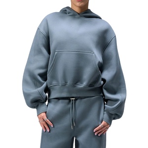 Sweats à capuche pour femmes de poids lourd 450GSM en vrac du fabricant OEM 100% pull en molleton de coton imprimé avec logo sur le devant. - Product Image 1