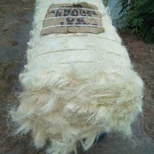 Fibre de sisal de Tanzanie de qualité supérieure, grade UG, 90-120 cm, naturelle, anti-bactérienne, finesse 100, matériau de rembourrage écologique - Product Image 5