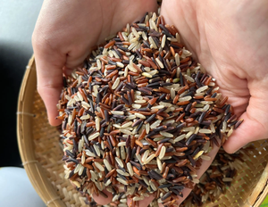 ข้าวสีดำออแกนิค/ข้าวคิ้ว/ข้าวแดงจากเวียดนามผู้จำหน่ายมีคุณค่าทางโภชนาการสูงและราคาดีที่สุด - Product Image 3