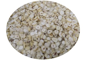 Couteau à trancher motorisé en acier inoxydable de qualité supérieure, à épaisseur réglable, 0,5 CV, pour usine de transformation de noix et de légumes - Product Image 4