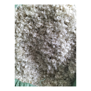 เกล็ดปลาจากเวียดนามแห้งแดด - Product Image 1