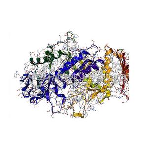 High Potency Amylase Extract Powder For Enhanced Digestive Support Natural <b>Enzyme</b> Supplement Promoting Efficient Starch - Product Image 2