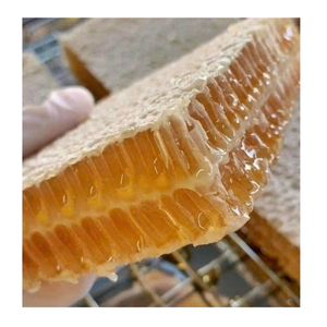 Pastel panal de miel de crudo puro 100% de miel multiflor abeja salvaje en Vietnam pastel de panal de abeja salvaje Natural con alta calidad - Product Image 3