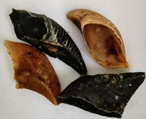 Posavasos Redondo de Madera de Ébano Natural de 5 mm de Grosor, Ecológico, Moderno, con Logotipo Grabado Personalizado de Primera Calidad para Bebidas - Product Image 6