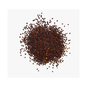 Semillas de mostaza al por mayor disponibles en envases a granel para exportadores - Product Image 4