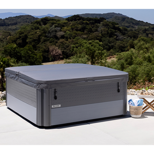 Baignoires de spa Palmetto Lounge Alpine White Lunar Gray - Product Image 6