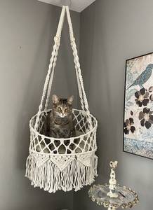 Boho Macrame <b>Cat</b> <b>Hammock</b> Pet Bed Wall Swing Large Pet Furniture - Product Image 5