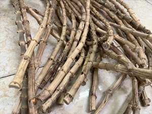 Estaca de bambú de materia prima 100% natural y de alta calidad/cañas de bambú/raíz de bambú para usar en la agricultura fabricada en Vietnam - Product Image 4