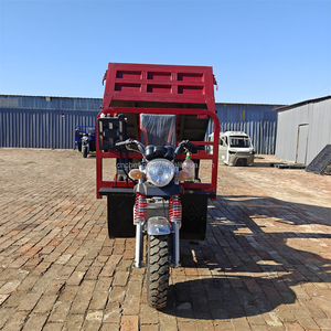 Haute Qualité Vente Chaude Nouveau <span class=keywords><strong>Meilleur</strong></span> Moteur king Powered Tricycle Cargo Tricycles Motorisés <span class=keywords><strong>Essence</strong></span> 250cc 5 Roue - Product Image 3