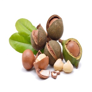 Noix de macadamia biologiques de première qualité, fournisseur grossiste, achat en gros, prix bas, en stock, livraison rapide - Product Image 5