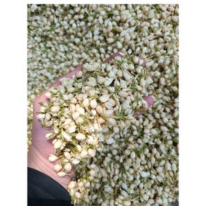 Bourgeons de jasmin scellés séchés pour infusion, parfum élégant et apparence constante, idéal pour une utilisation à long terme du produit - Product Image 3