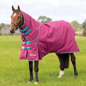 Alfombra de caballo de medio cuello personalizada ecuestre a precio asequible 1200D Ripstop 300g manta aislada de asistencia de invierno fabricante OEM a granel - Product Image 3