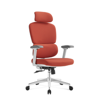 Chaise de bureau ergonomique moderne pour la maison, chaise d'apprentissage en maille pour e-sport, accoudoirs réglables en hauteur, base en acier inoxydable
