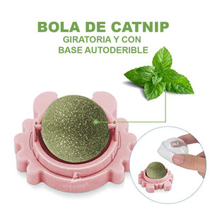 Giocattoli Naturali da Masticare per Denti di Conigli Domestici, Giocattolo Rotante in Plastica Stile Sportivo - Product Image 6