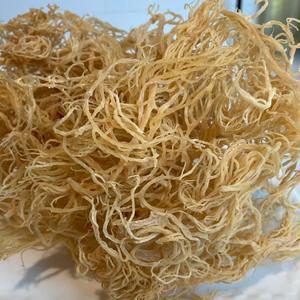 มอสทะเลไอริชคุณภาพสูง/ส่วนผสมที่ขาดไม่ได้สำหรับสูตรเฉพาะ/(seamoss Gold - Purple - chondrus Crispus) - Product Image 4