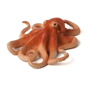 Bevroren Octopus Baby Octopus Verse Zeevruchten