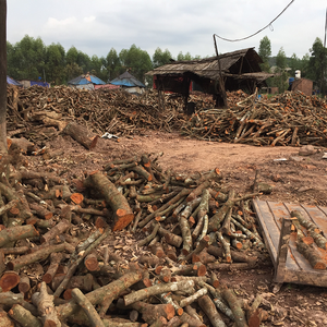 Carbón Vegetal de Madera Dura de Alta Calidad, Tipo Binchotan Blanco Lytchee, Listo para Barbacoa, 8150 Calorías, Precio Razonable - Product Image 6