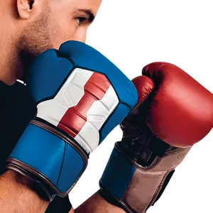 Gants de boxe professionnels de haute qualité 14oz équipement d'entraînement sportif coloré - Product Image 5