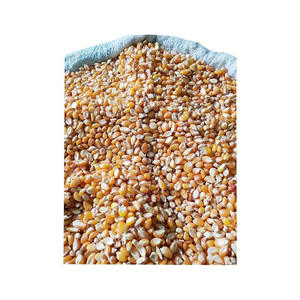 Approvisionnement en vrac de maïs jaune de qualité supérieure, vente en gros à prix abordable d'aliments nutritifs pour animaux - Product Image 4