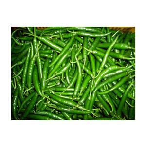 Piment vert frais cru G4 de qualité supérieure, prix de vente promotionnel - Product Image 1