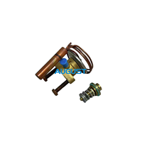 Vanne d'expansion pour conteneur frigorifique Carrier 14-01104-42 14-00244-42