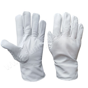2022 Goatskin Leather <b>Driver</b> <b>Gloves</b> / Argon <b>Gloves</b> made of goat skin leather - Product Image 5