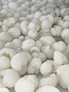 ผลไม้เมืองร้อนแช่แข็งพรีเมี่ยมจากเวียดนาม - Product Image 4