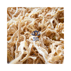 BEST SELLER BANDES DE RADIS SÉCHÉS radis déshydratés séchés à feu doux gardant la douceur et la texture naturelles - Product Image 1