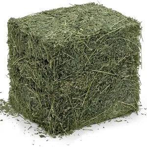 优质苜蓿干草，用于散装饲喂的牛