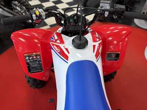 Offre Annuelle 2025 – Nouvelles Motos Honda TRX250X (Jeunesse) - Product Image 6