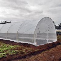 Serre agricole en plastique de tomate de tunnel élevé de travée simple d'autres serres industrielles commerciales