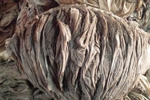 Omasum salé de buffle et Omasum salé de boeuf à vendre - Product Image 3