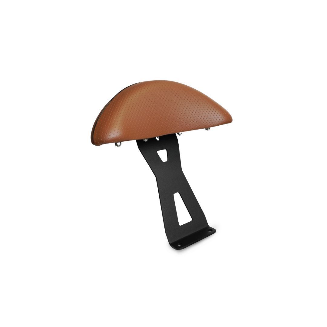 สีน้ำตาล