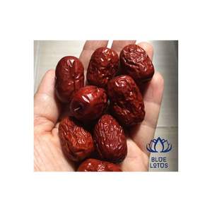 Hierbas de Jujuba ziziphu de Vietnam, buen precio - Product Image 4