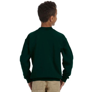 Sweat-shirt à col rond pour garçons Machine Adulte Unisexe Adulte Sweat-shirt à sublimation vierge Sweat-shirt vert à sublimation pour jeunes - Product Image 2