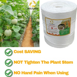 Cordes d'emballage de ficelle de serre agricole du meilleur fabricant du Vietnam pour la culture de légumes, de fruits et d'autres plantes - Product Image 5