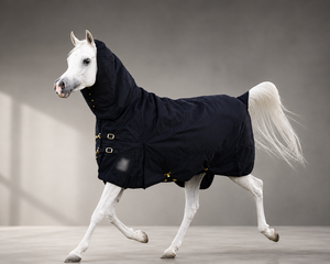 Manta Impermeable para Caballos, 600D, con Cuello Completo, para Invierno - Product Image 2