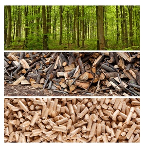 Granulés de bois de qualité pure, prix à la tonne, briquettes, combustible biomasse, granulés de bois de pin et de chêne, quantité en vrac disponible à prix avantageux - Product Image 2