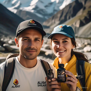 Capsules de poudre de Shilajit de haute qualité suppléments d'acide fulvique séchés au soleil organiques naturels garantie de remboursement suppléments à base de plantes