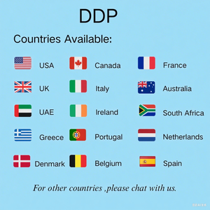 中国到美国的国际门到门集装箱整箱物流服务 海运和DDP货运代理 - Product Image 6