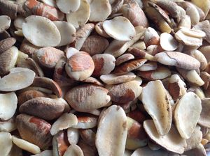 Núcleos de Nuez Ogbono Secos Crudos de Grado Premium, Suministro al por Mayor para Procesamiento de Alimentos, Empaque de 25 KG, 2 Años de Vida Útil, En Venta - Product Image 5