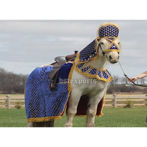 Costume de cheval Baraat pour mariage traditionnel, meilleur design, costume de cheval de mariage indien, costumes de cheval Baraat pour mariage Punjabi - Product Image 3