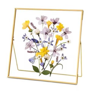 Cadre photo en laiton et verre finition or transformant les murs simples en vitrines de luxe - Product Image 1